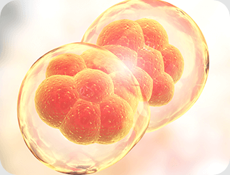 Autophagy Stimulation