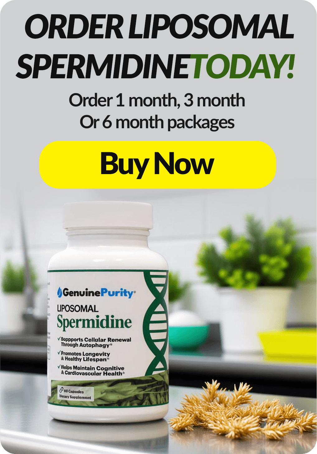 Order GenuinePurity Spermidine at genuinepurity.com